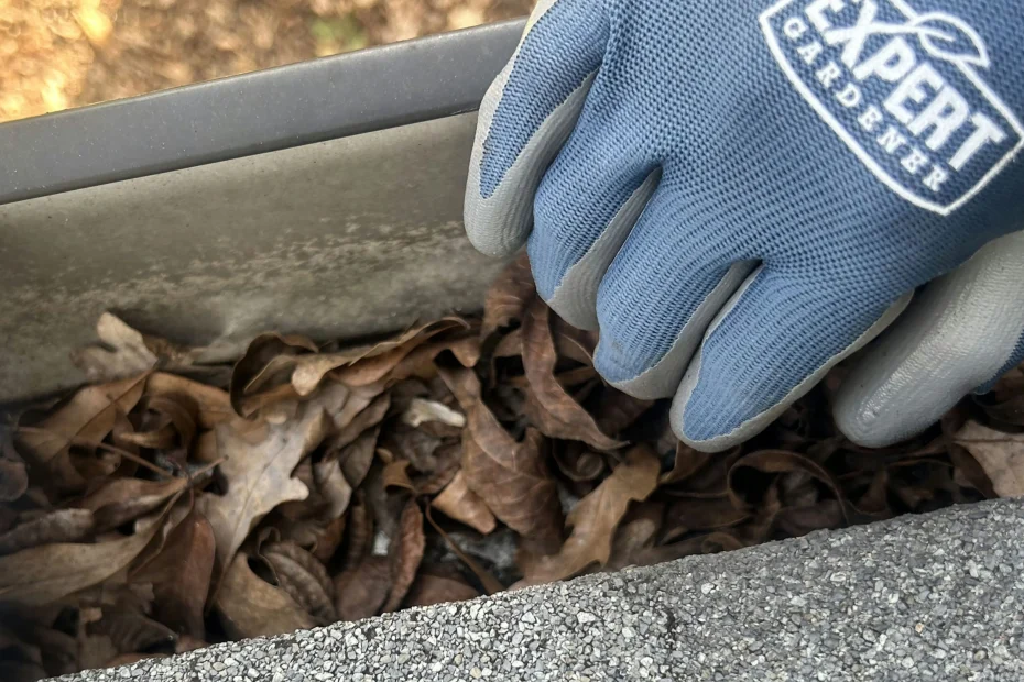 Gutter Cleaning Chadds Ford